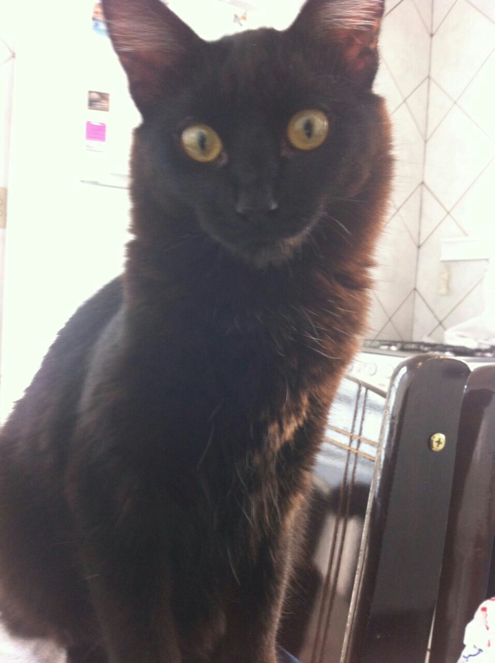 Mia