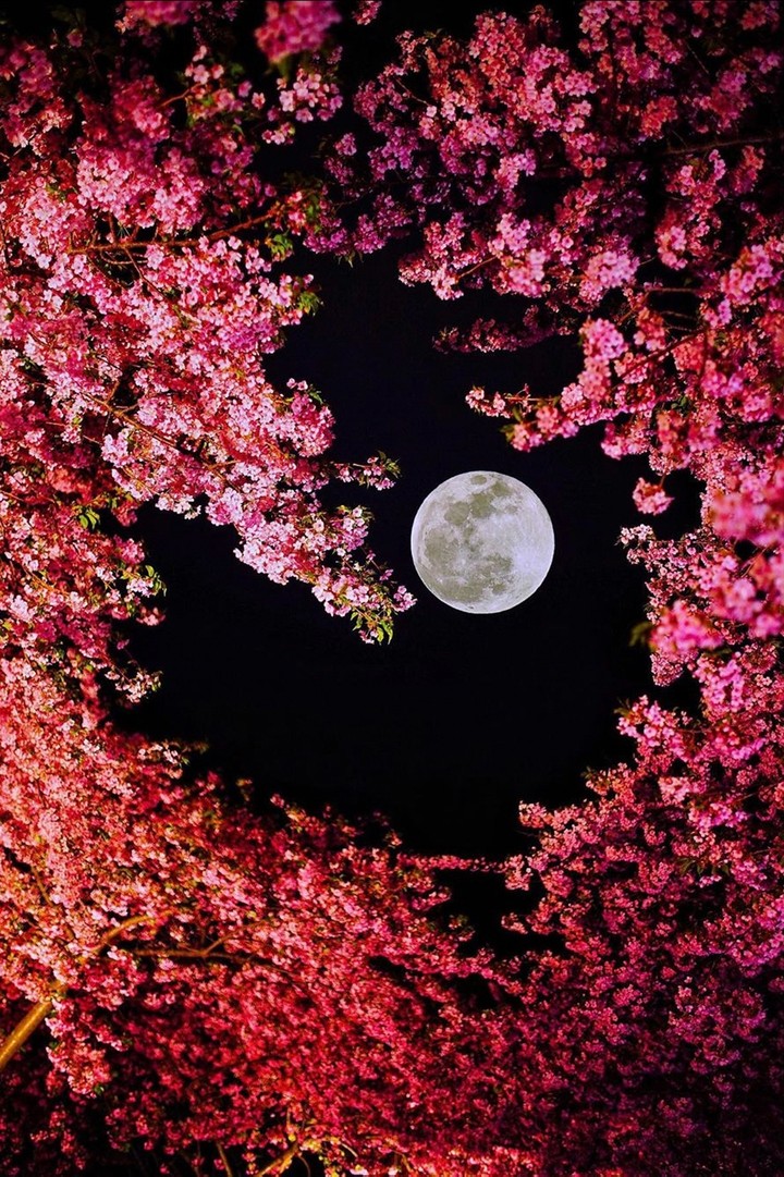 moon