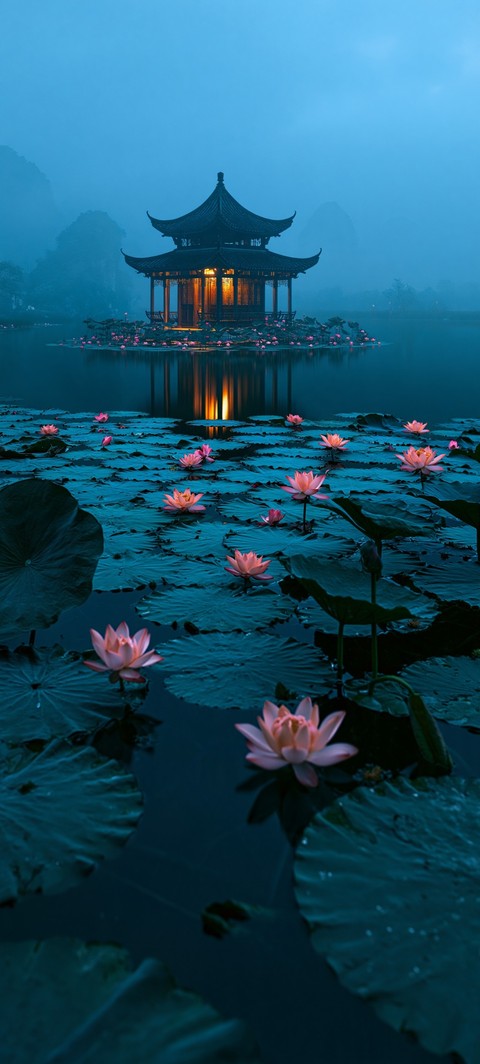 sfondi lotus, lake