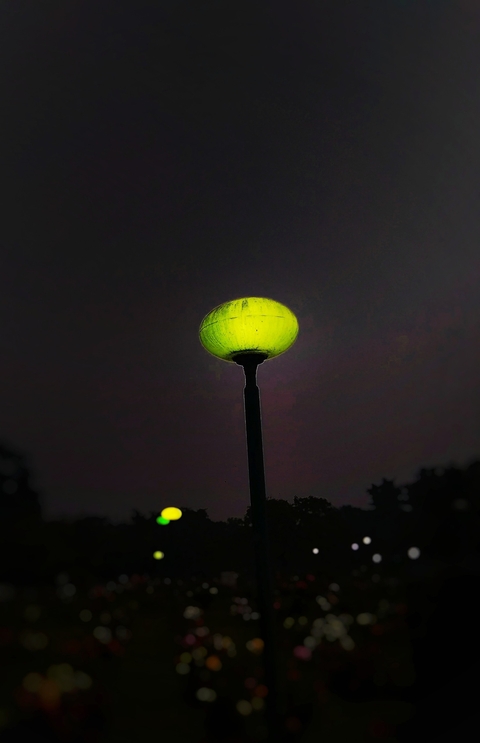 the last light