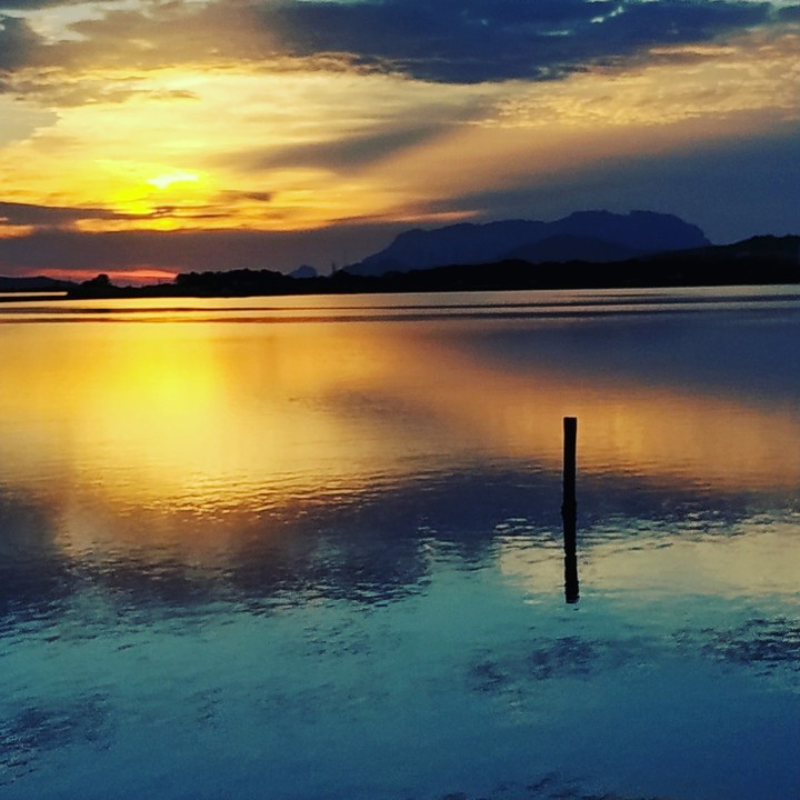 Alba