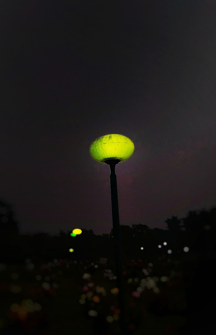 the last light