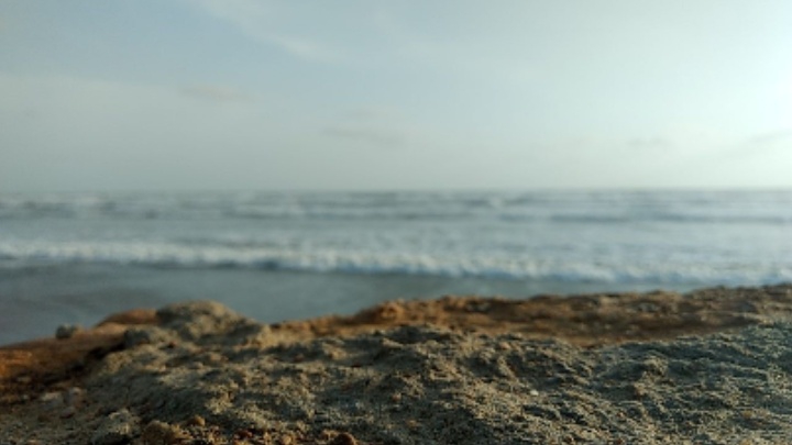 shore