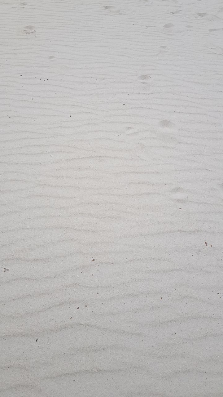 sand, beach, sea, summer