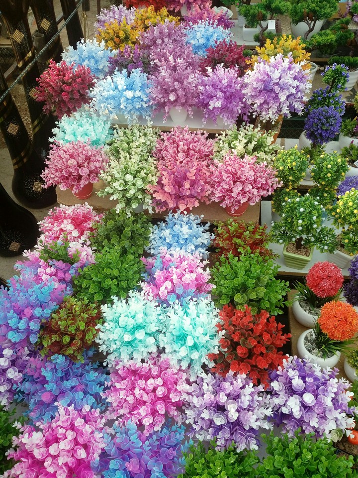 flowers