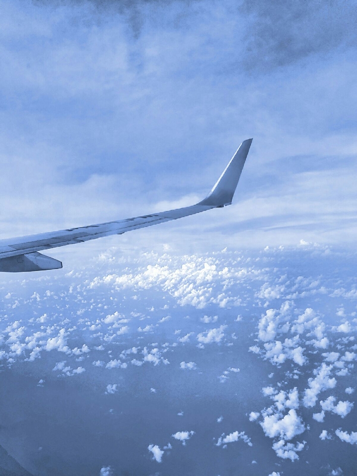 fly