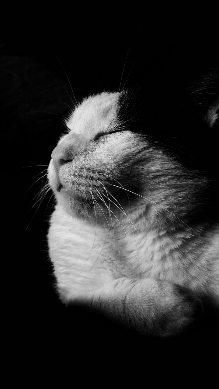 black and white