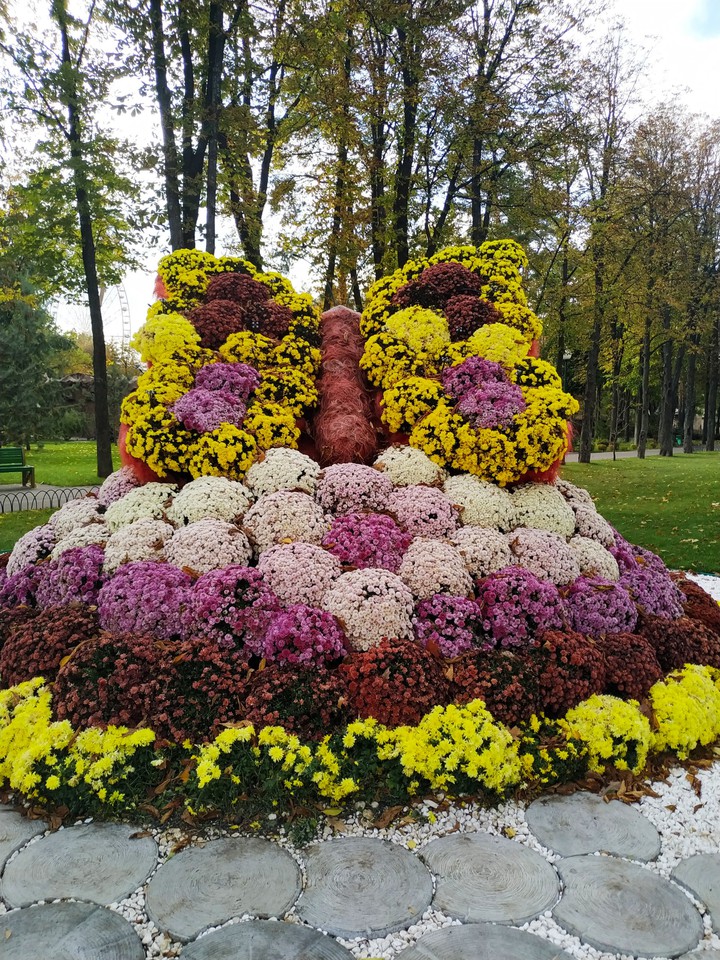 flower
