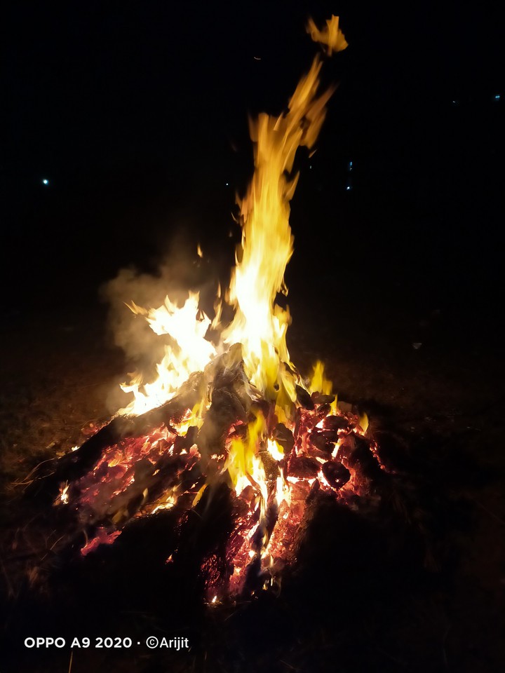 Holi