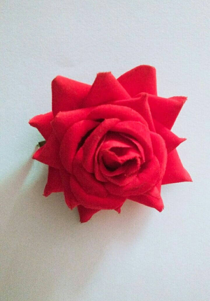 red rose
