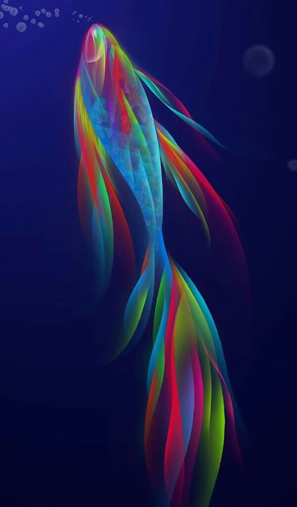 colourful fish
