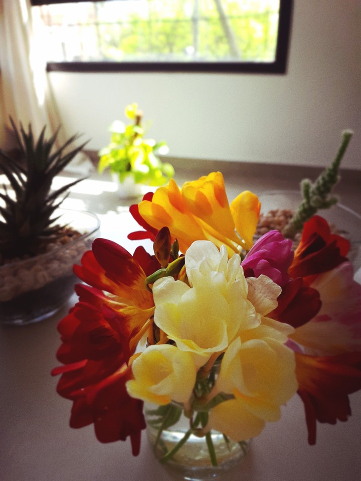 Fresias
