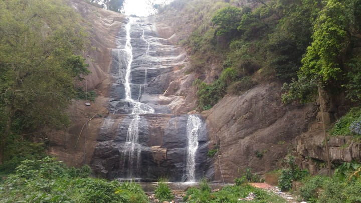 rakesh