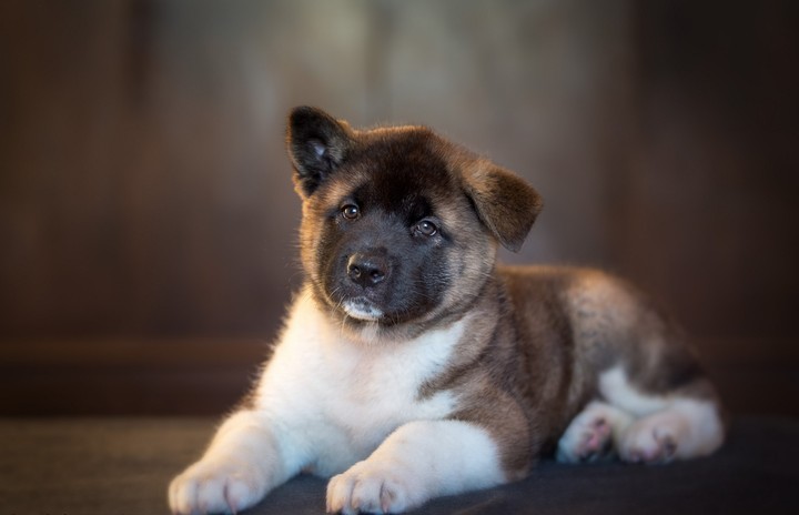 cute