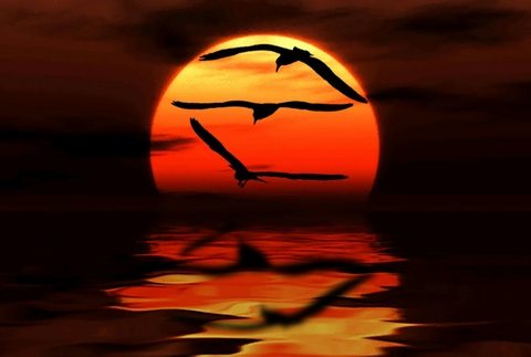 evening