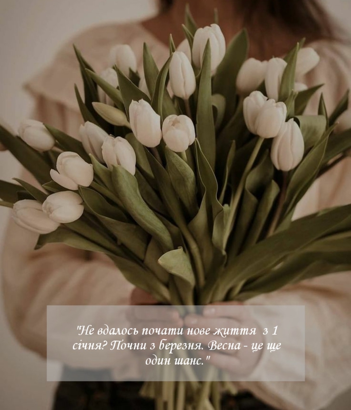 Tulips