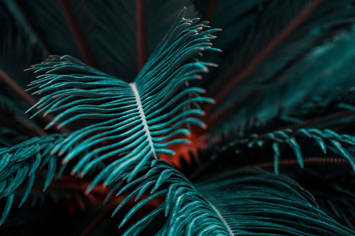 redgreen
