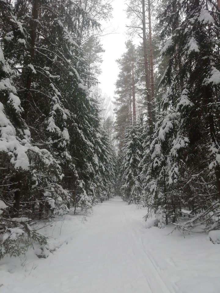 winter