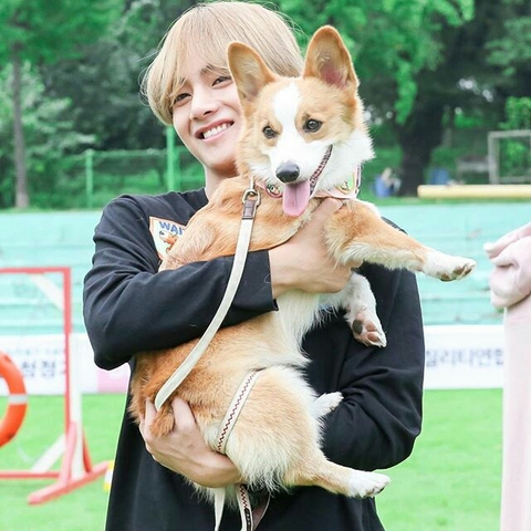 V