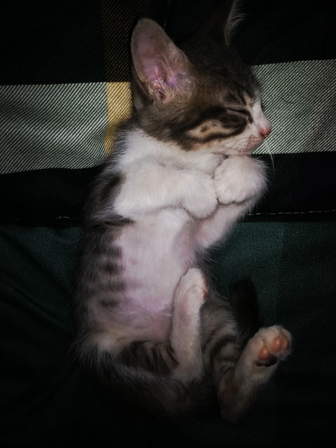 Lo más hermoso y tierno que van a ver!