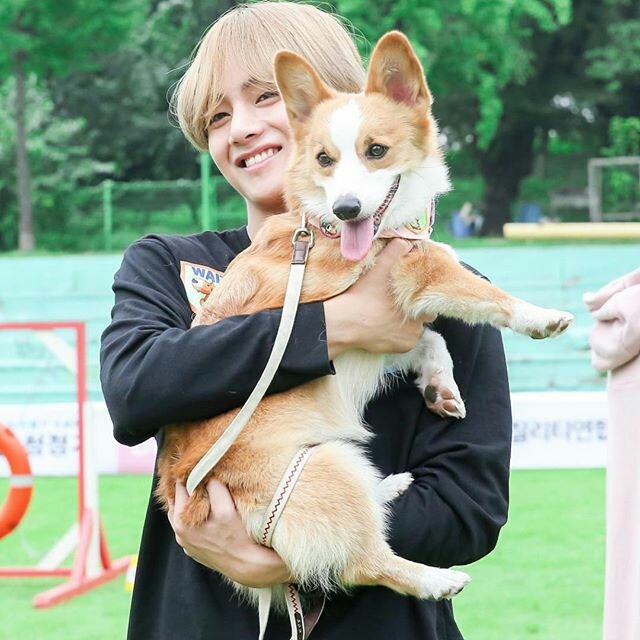 V
