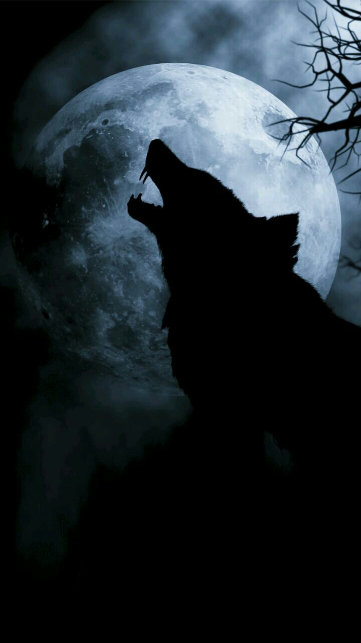 Canine Lupus