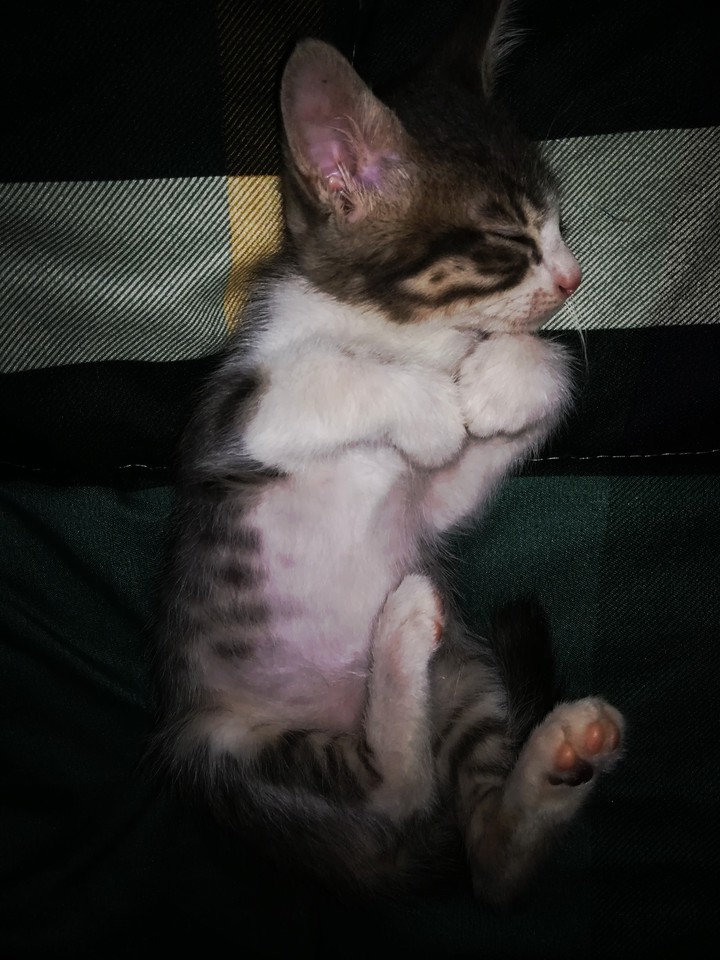 Lo más hermoso y tierno que van a ver!