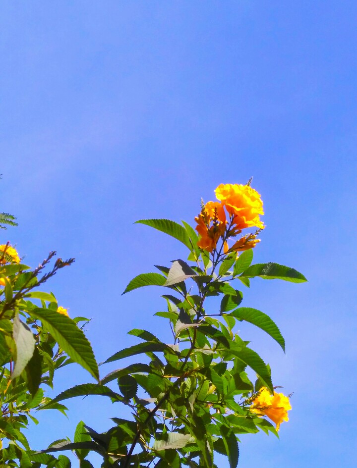 Nature