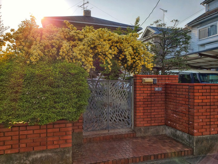 A gate of a house in Japan with flowers in above