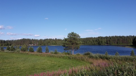 Somewhere in Laponie