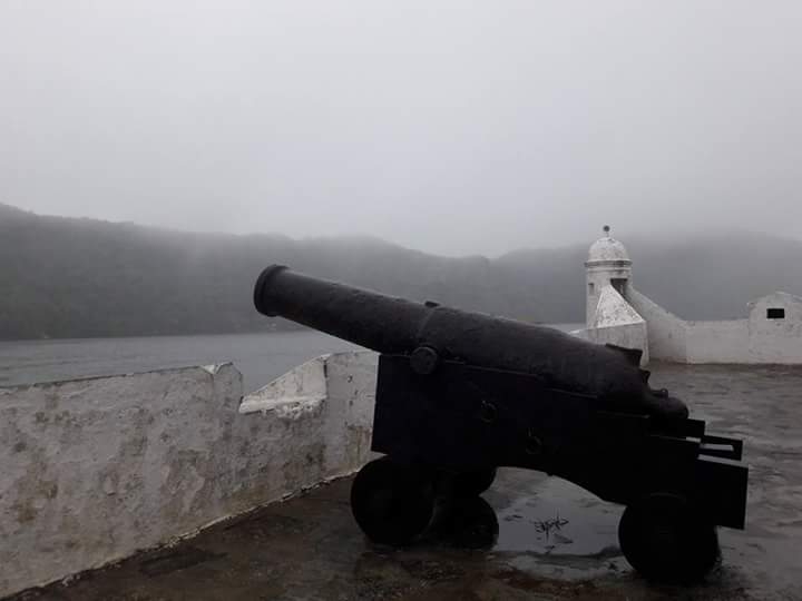 Canhão