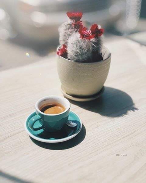 صباح الرواق