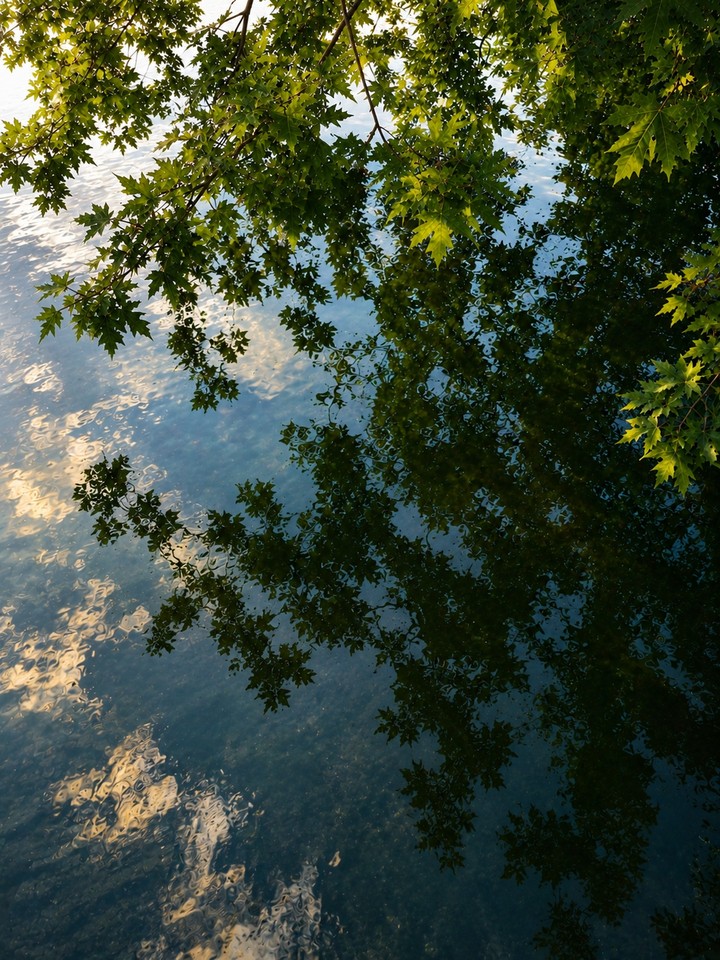 sfondi reflection, sunlight