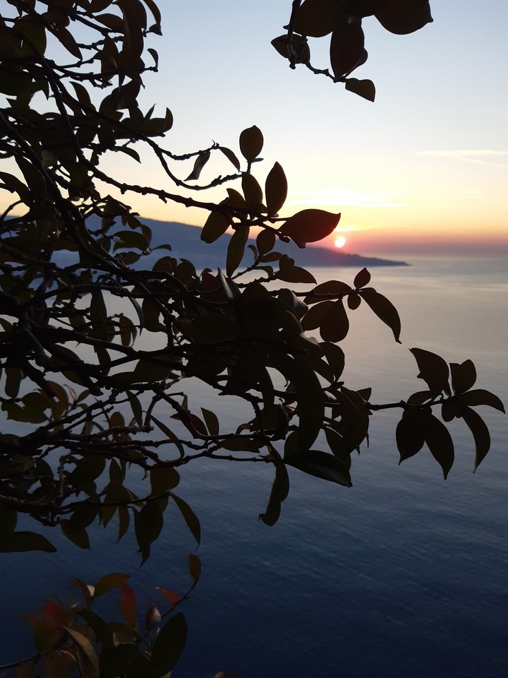 Costiera - Sorrento (NA)