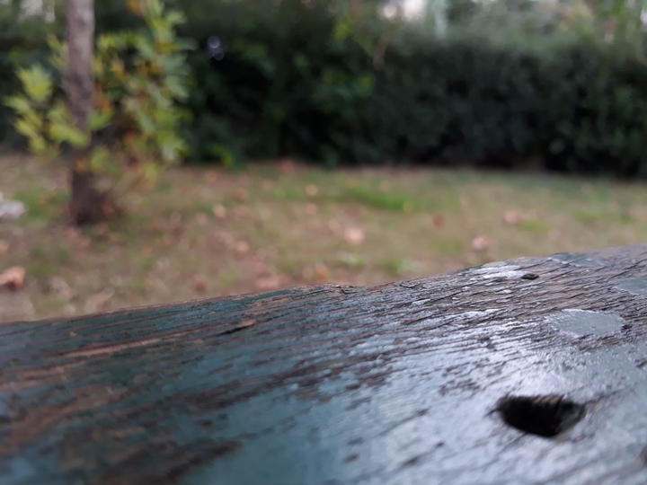 beatiful fall