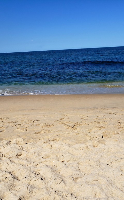 Serenity