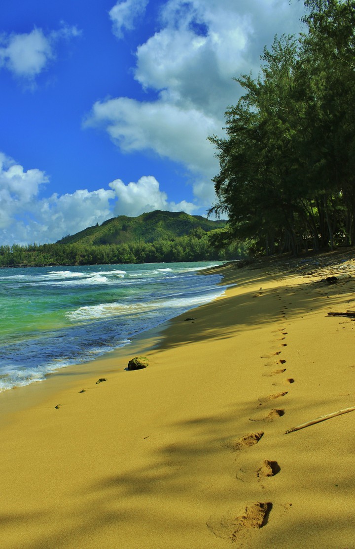 Footprint