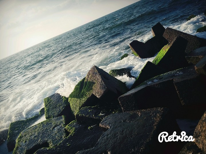 alexandria's sea