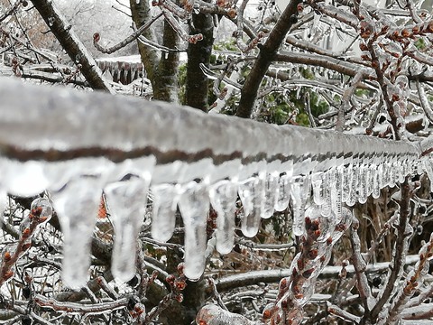 magic winter