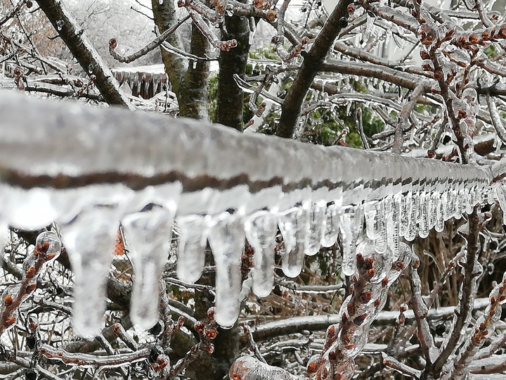 magic winter