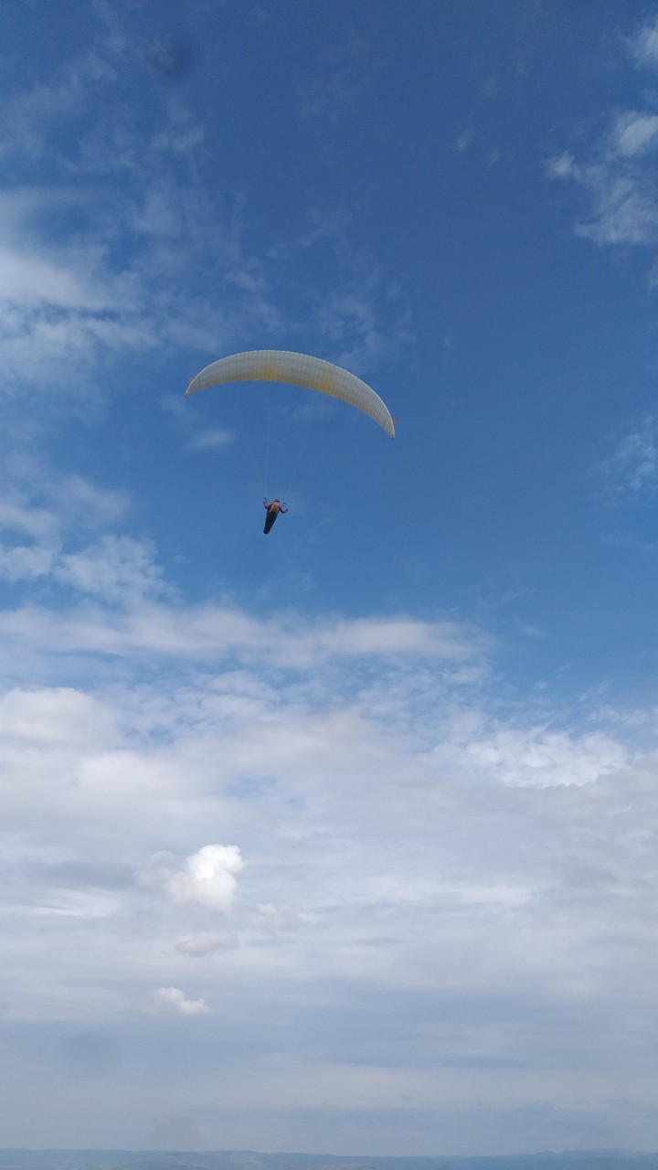 freedom