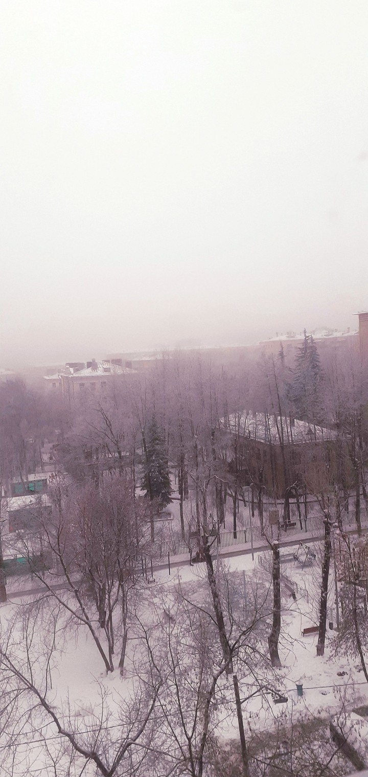 Я люблю зиму ❄