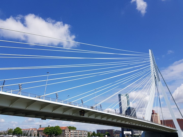 erasmusbridge r