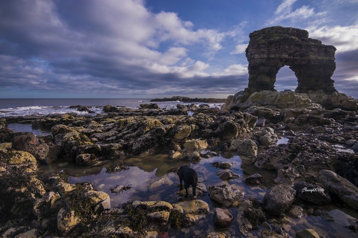 Rocks