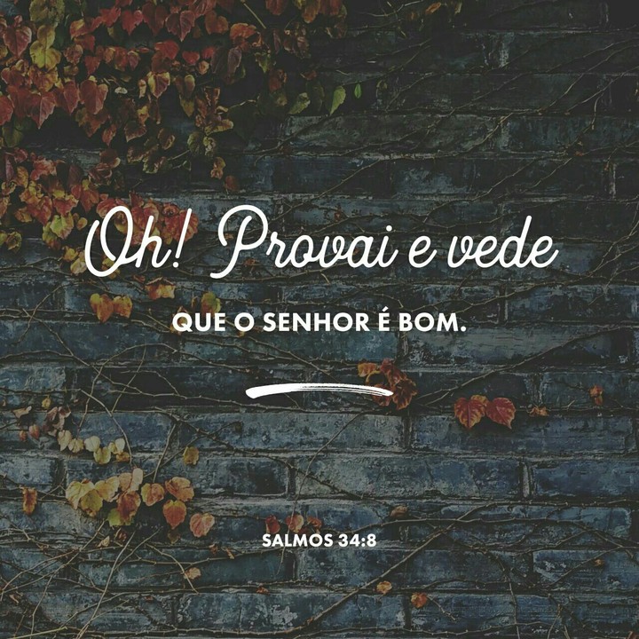 o senhor  é bom
