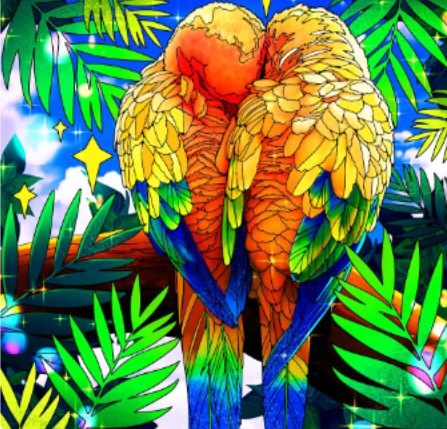 parrots loros cutes animal