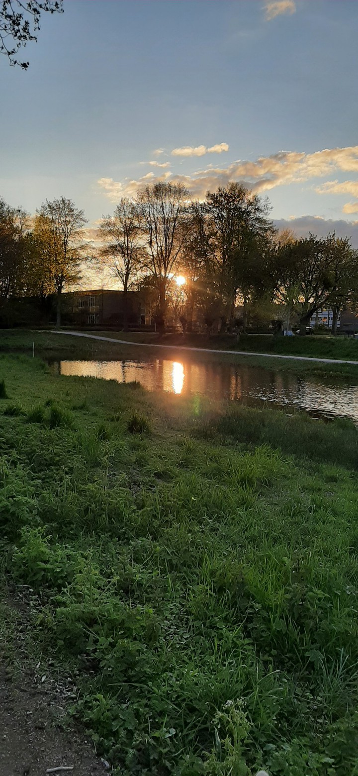 reflections