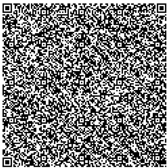 How it is in a QR-Code!