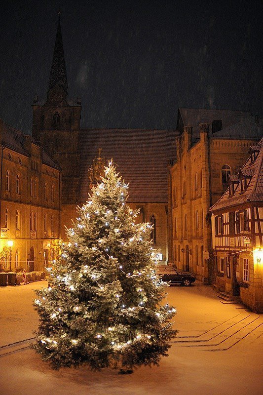 winter