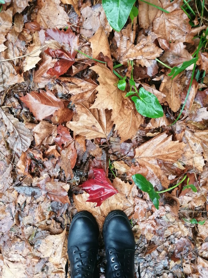 autumn time